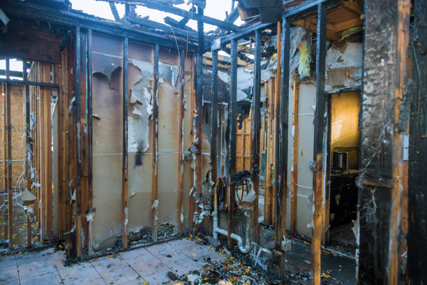 Professional Fire Damage Assessment technician working in Logan, IA